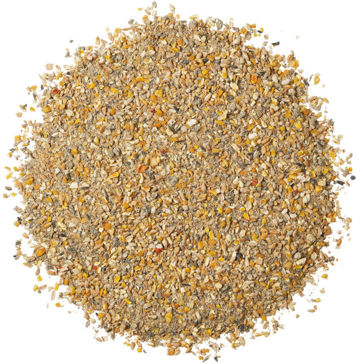 Landleben Freiland Legemehl